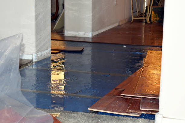 Professional Basement Flood Cleanup technician working in Buchanan Dam, TX